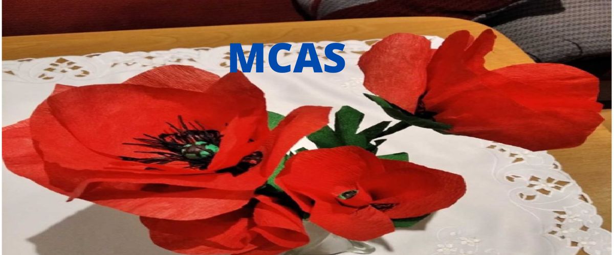Luty w Klubie Seniora UTW  (MCAS)