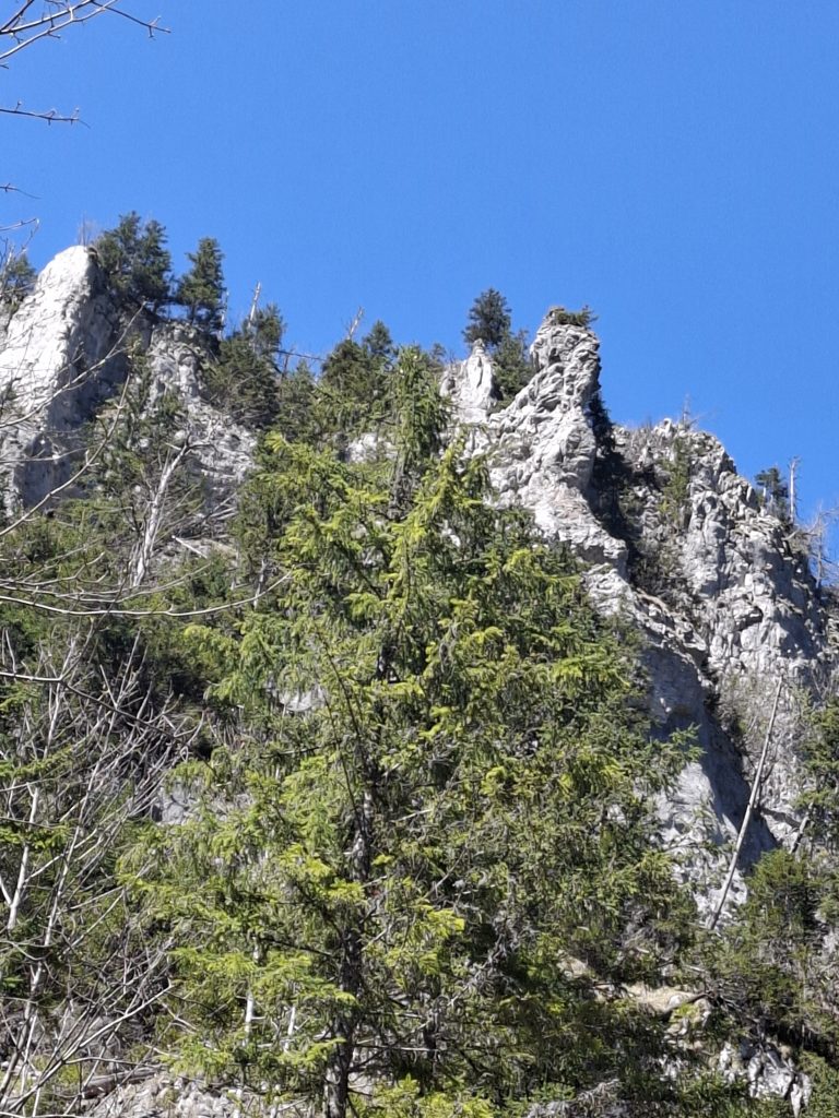 Zakopane, Szaflary, Ludźmierz i Stara Lubownia