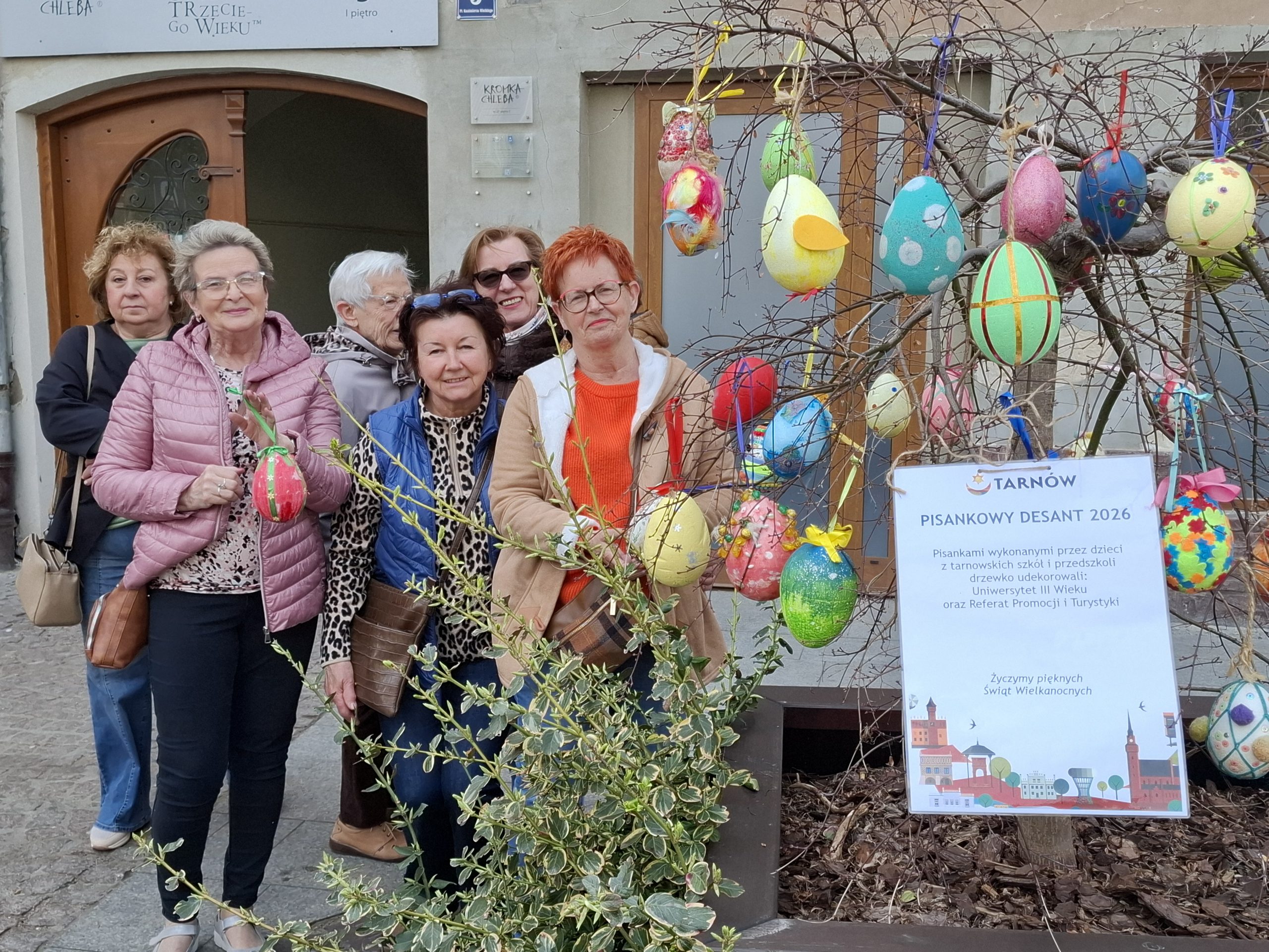 Słuchacze UTW udekorowali  drzewka na Pl. Kazimierza